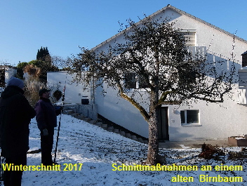 Birnbaum102