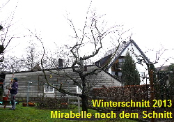 Winterschnitt3nach_201302